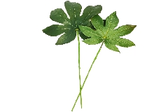 Pz 6 Foglie Araglia 4 Misure Fiori Piante Artificiali Decorazione Arredo