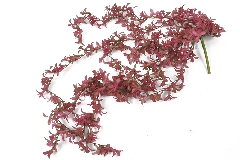 Cadente Succulenta Real Touch Rosa Cm 70 Fiore Artificiale