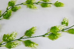 Cadente Luppolo 75 Cm 3 Rami Fiori Artificiali Decorazione Arredo