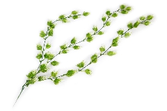 Cadente Luppolo 75 Cm 3 Rami Fiori Artificiali Decorazione Arredo