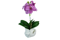 Orchidea Con Muschio Piccola 45 Cm Da Appendere Decorazione Fiori Artificiali