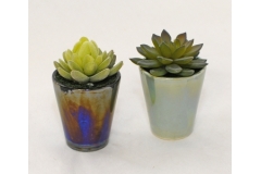 Piantina Grassa Artificiale In Vaso Cangiante