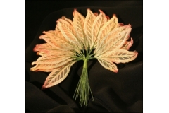12 Foglie Organza Fiorellini