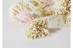 1200 Pistilli Sacchetto Fiorellini
