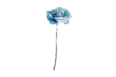 Rosa Singola Azzurro GlacÃ¨