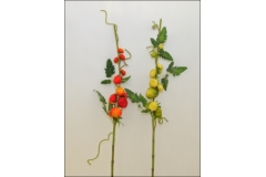 Ramo Di Pomodori