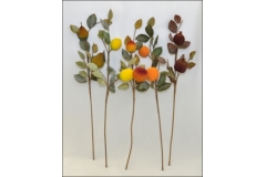 Ramo Frutta Gommata