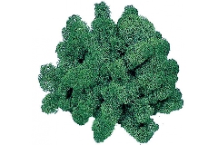 Verde Bosco