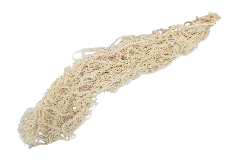 Amarantus Stabilizzato Avorio 170 Gr