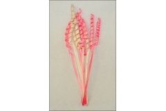 Curly Palm Leaf