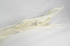 Pz 2 Rami Di Ocra Naturali Bianco/Verde Cm 90 Circa Decorazioni
