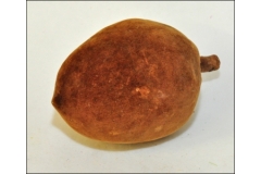 Frutto Baobab