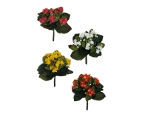 Piantina Kalanchoe Colorata Decorazione Addobbi Matrimonio Vetrine