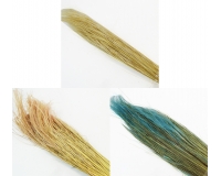 Stipa Pennata Gr 100 Naturale Stabilizzata Colorata Composizione Floreale Addobbi