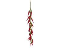Filo Peperoncini Decorazione Casa Primavera Pasqua