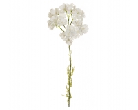 Dianthus Chinesis Garofano Cinese Artificiale Colorato Composizione Floreale