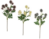 Cardo Selvatico Ramo Cm 56 Decorazione Addobbi Floreali