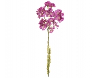 Dianthus Chinesis Garofano Cinese Artificiale Colorato Composizione Floreale
