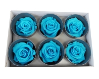 6 Rose Stabilizzate
