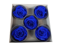 Rosa Stabilizzata Queen 5 Pz