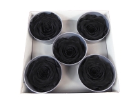 Rosa Stabilizzata Queen 5 Pz