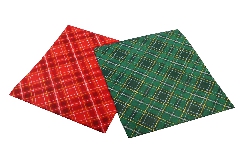 Buste Portapanettone Tnt Scotland  Pz 10