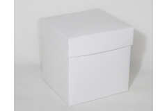 Scatola Pieghevole New 12x12x12 Pz 10