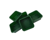 30 Ciotola Mini Quadrifoglio Verde Con Punte Per Spugna
