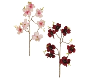 Corniolo Golden Stem X7 Fiori Composizione Floreale Fioristi