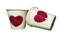 Coprivaso Cuore Rose D.17 Pz 20