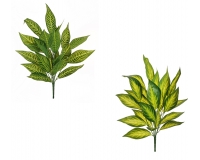 Mazzo Dieffenbachia Cm 75 Decorazioni Composizione Floreale Matrimonio