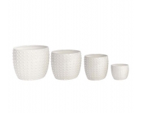 Vaso Punti S/4 Decorazioni Composizione Floreale Primavera Pasqua