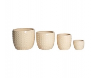 Vaso Punti S/4 Decorazioni Composizione Floreale Primavera Pasqua