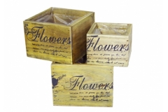 Quadro Legno Nat. S/3 Flowers