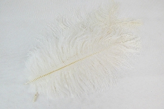 Pz 14 Piume Marabu Naturale Bianca Cm 22