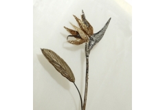Fiore Del Paradiso Sterlizia Glitterata Brown/silver Da 85 Cm
