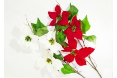 Tralcio Stella Natale Vellutata