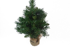 Albero Pino New Cedar Cm 60 Con Base Rivestita Juta