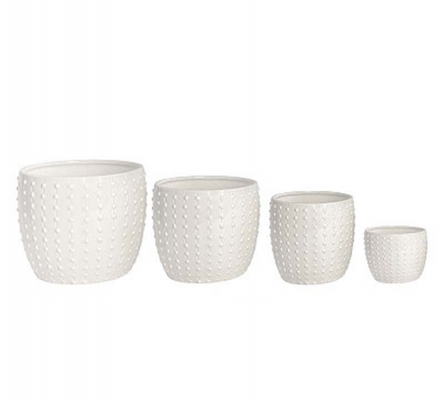 Vaso Punti S/4 Decorazioni Composizione Floreale Primavera Pasqua