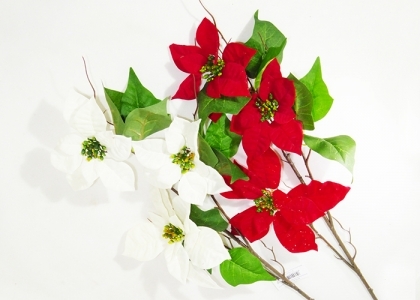 Tralcio Stella Natale Vellutata